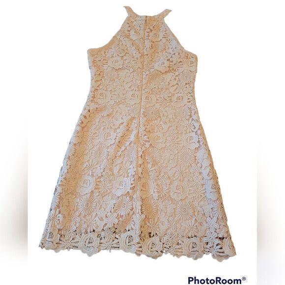NWOT Lulus Love Poem Blush Pink Lace Crochet Look Mini Dress L - Picture 13 of 16